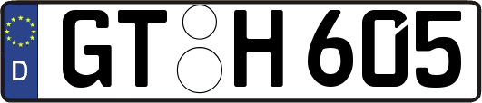 GT-H605