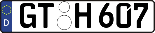 GT-H607