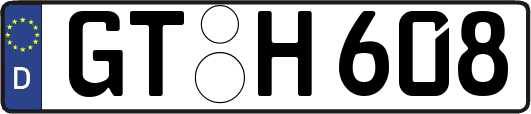 GT-H608