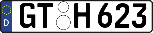 GT-H623