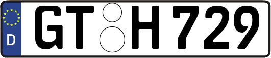 GT-H729