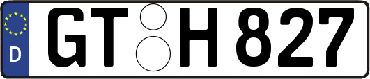 GT-H827
