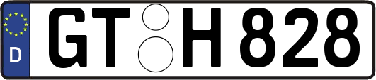 GT-H828