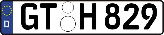 GT-H829
