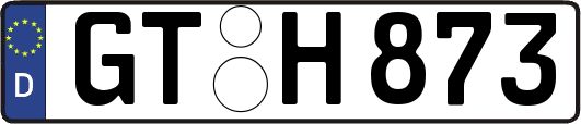 GT-H873