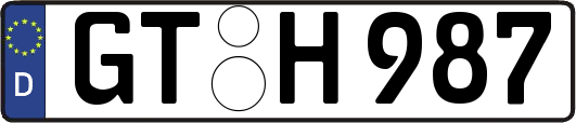 GT-H987