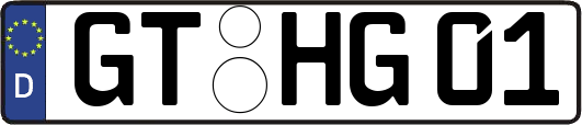 GT-HG01