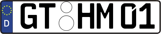 GT-HM01