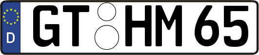 GT-HM65