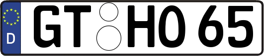 GT-HO65