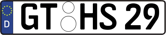 GT-HS29