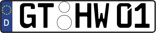 GT-HW01