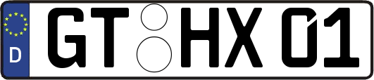 GT-HX01