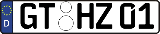 GT-HZ01