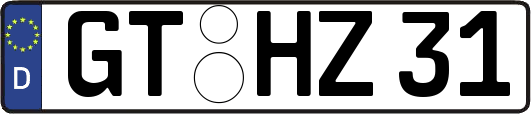 GT-HZ31