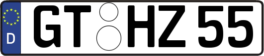GT-HZ55