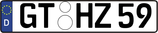 GT-HZ59