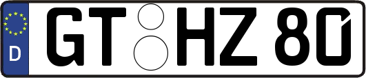 GT-HZ80