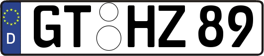 GT-HZ89