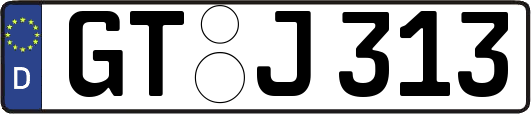 GT-J313