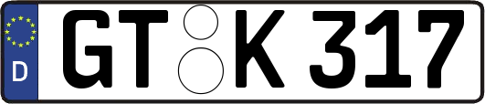 GT-K317