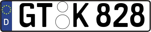 GT-K828