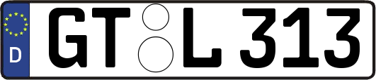 GT-L313