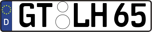 GT-LH65
