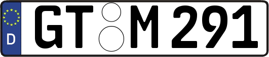 GT-M291