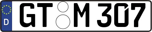 GT-M307