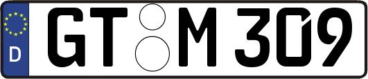 GT-M309