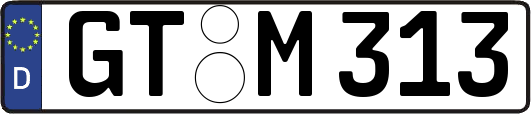GT-M313