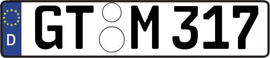 GT-M317