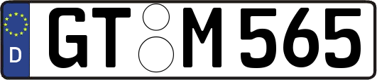 GT-M565