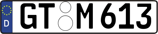 GT-M613