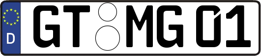 GT-MG01