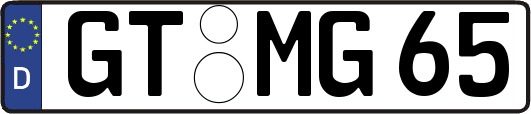 GT-MG65