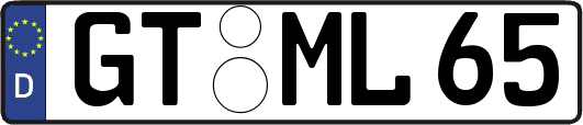 GT-ML65