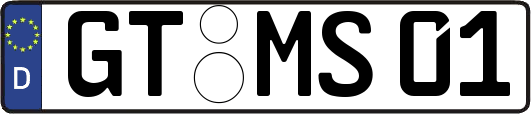 GT-MS01