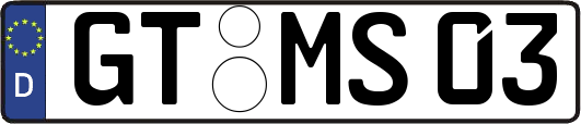 GT-MS03