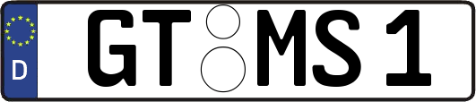 GT-MS1