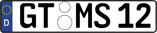 GT-MS12