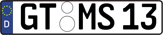GT-MS13