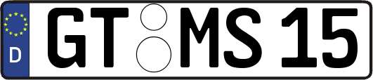 GT-MS15