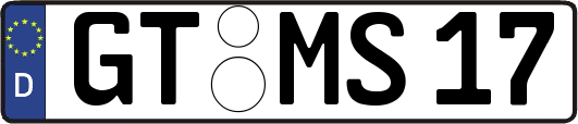GT-MS17