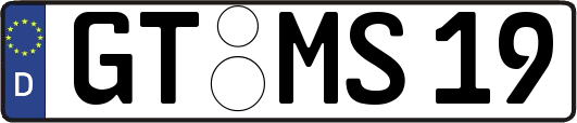 GT-MS19