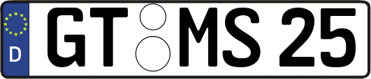 GT-MS25