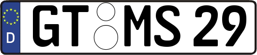 GT-MS29