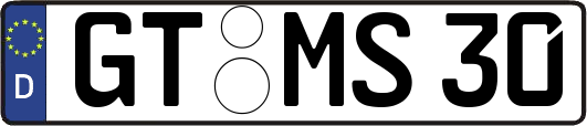 GT-MS30