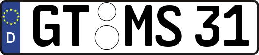 GT-MS31